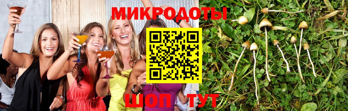 Псилоцибиновые грибы ЛСД  Армавир  Галлюциногенные грибы мухоморы 