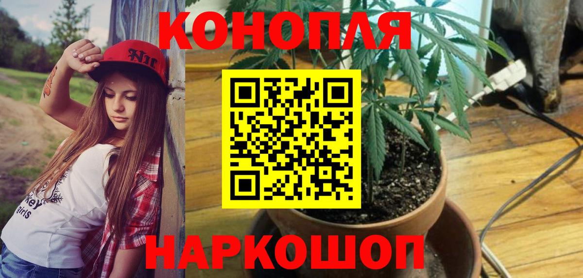 Канабис MAZAR  Каннабис планчик  Бошки Шишки марихуана  Вход с VPN  Армавир 
